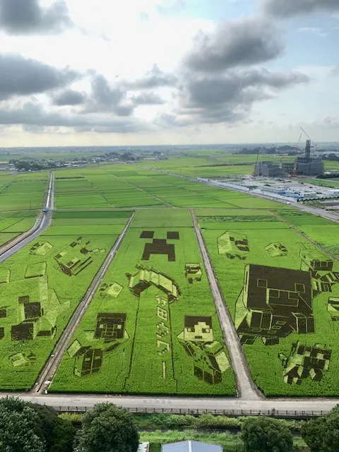ศิลปะนาข้าวรูปตัวละคร Minecraft ที่เมืองเกียวดะ มองจากหอคอย
