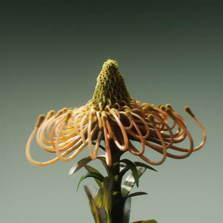 ภาพดอกไม้จำลองจากชุด Faux Flora ของแซคคารี คอร์ไซน์