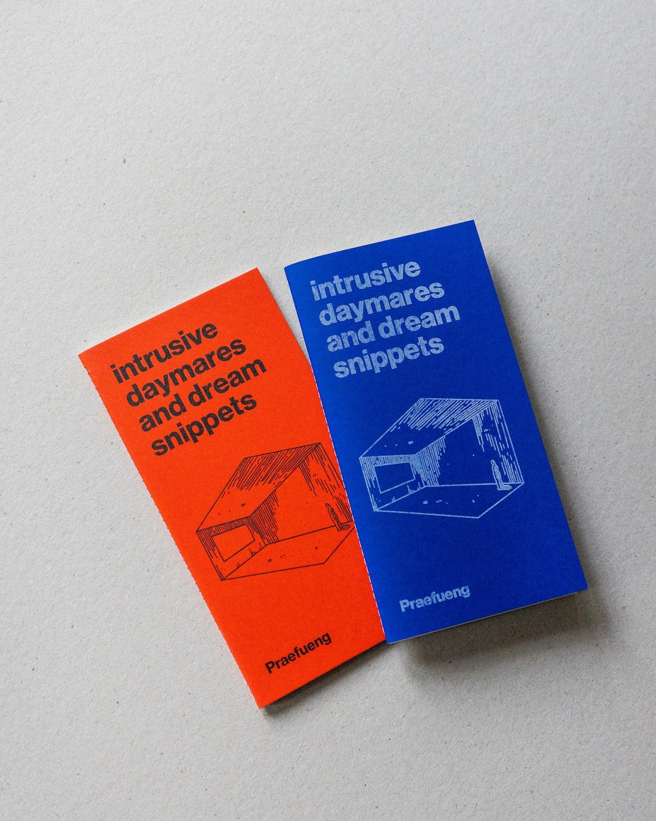 ซีน Intrusive Daymares and Dream Snippets ปกสีส้มและสีน้ำเงิน