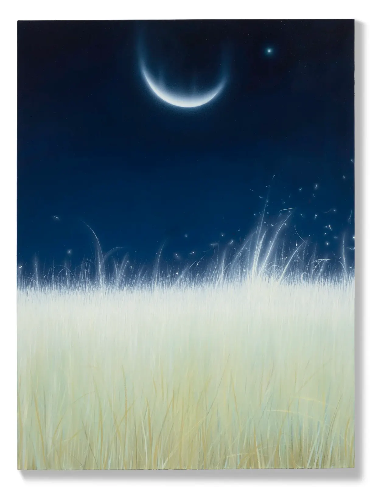 ภาพวาด Falling Moon จากผลงานก่อนหน้าของซาราห์ ลี