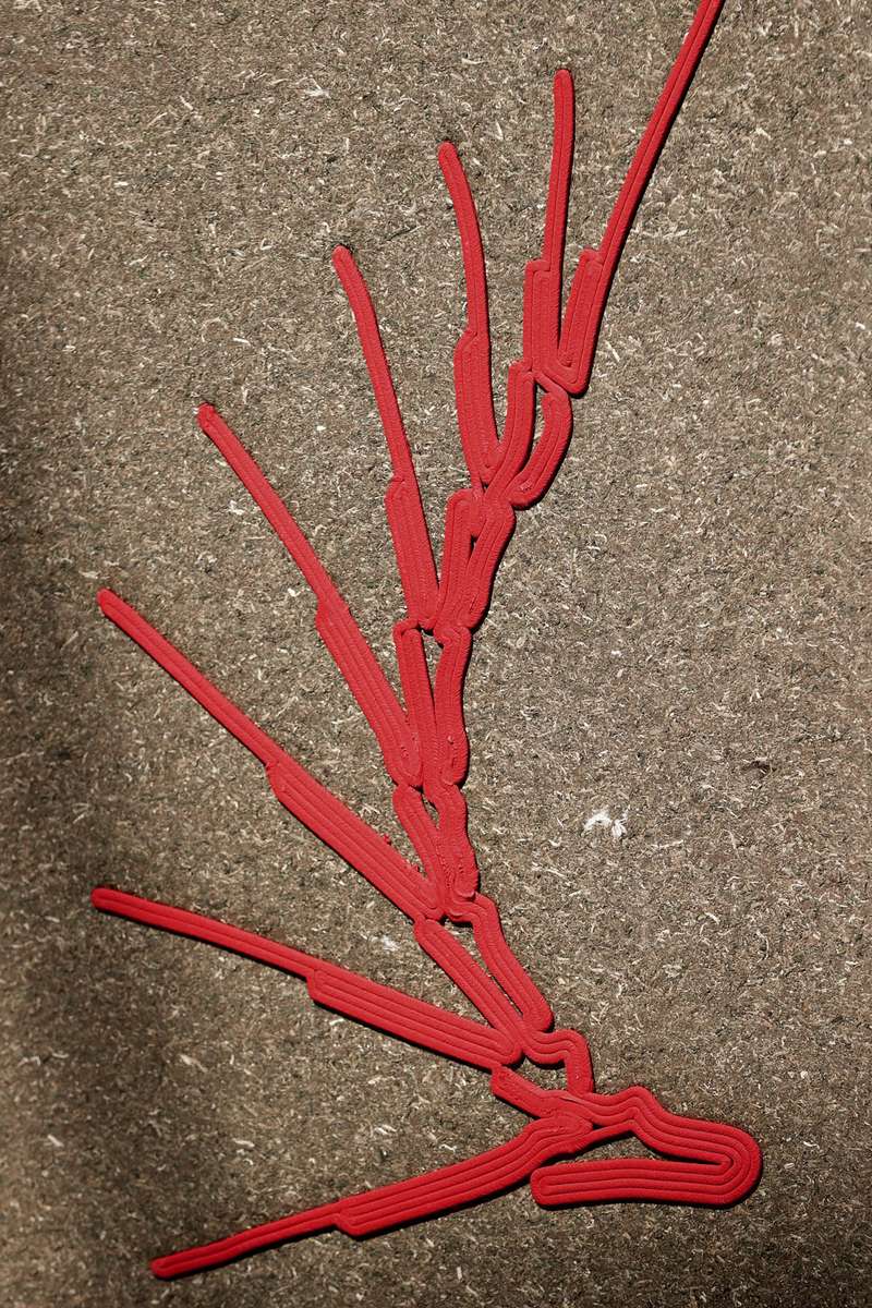 รายละเอียดงานหนวดแมลงจากโครงการ 27 Antennae