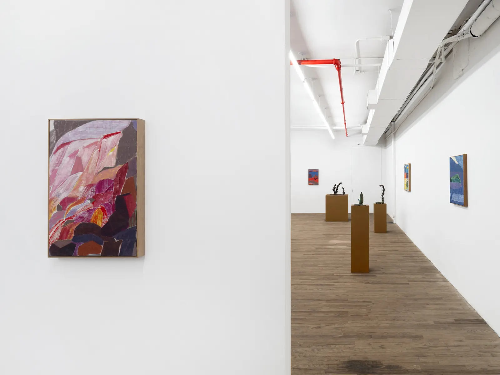 Installation view honey honey honey — Diambe, kaufmann repetto New York 2024