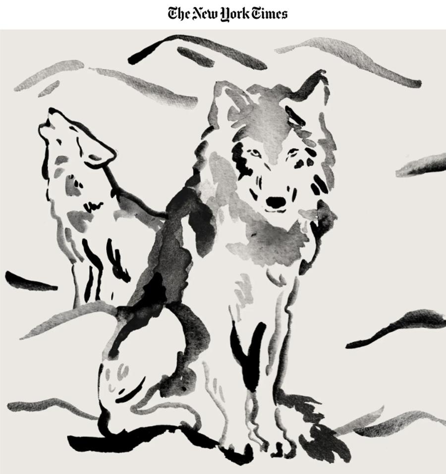Illustration for The New York Times — Miki Lowe