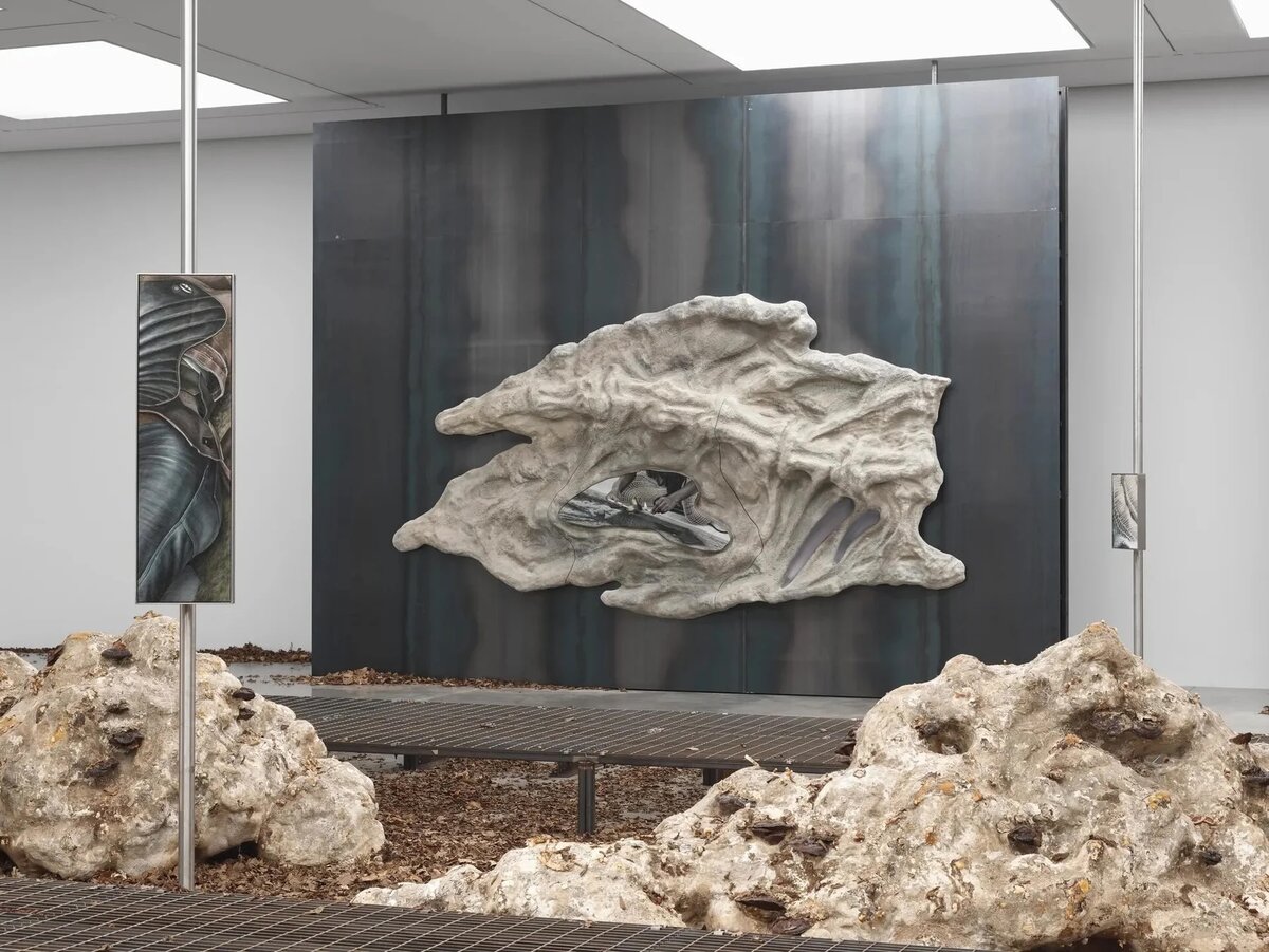 Installation view — Klára Hosnedlová Echo, White Cube Bermondsey 2026