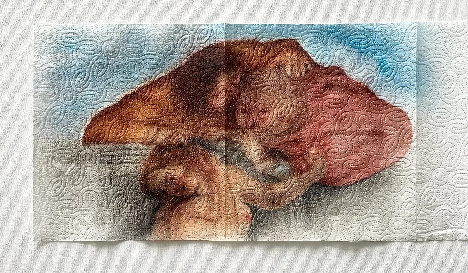 ใบหน้าในภาพวาดบนพื้นผิวกระดาษทิชชู่ที่เปราะบาง ผลงาน Helena Minginowicz