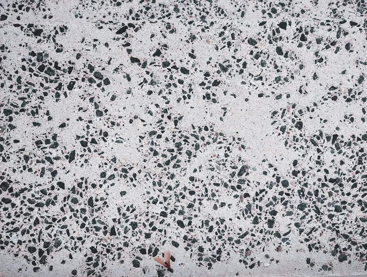 พื้นผิวเทอร์ราซโซโทนขาวดำ เศษหินกระจายทั่วผิว