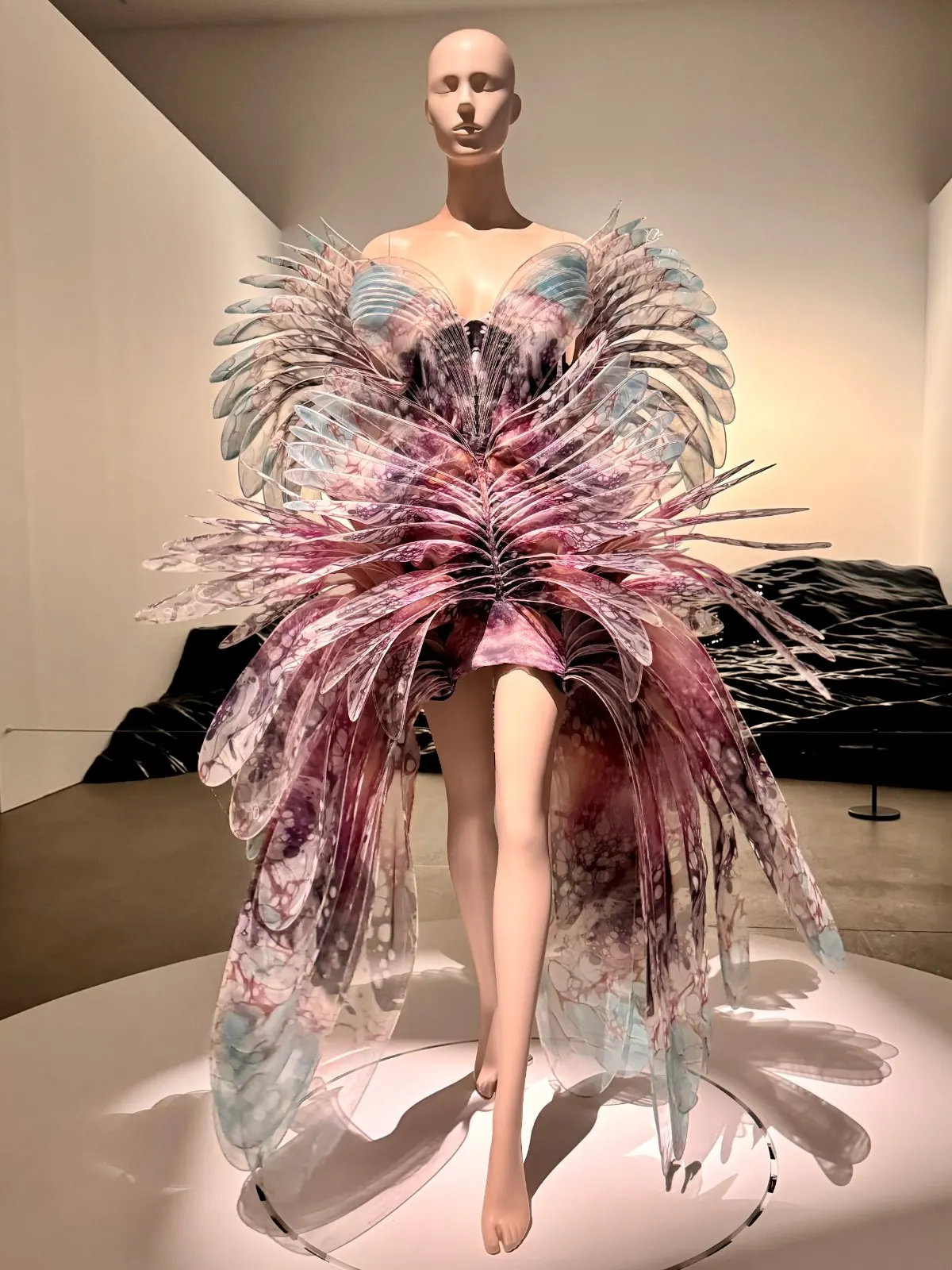 Iris van Herpen exhibition installation view with elaborate couture design