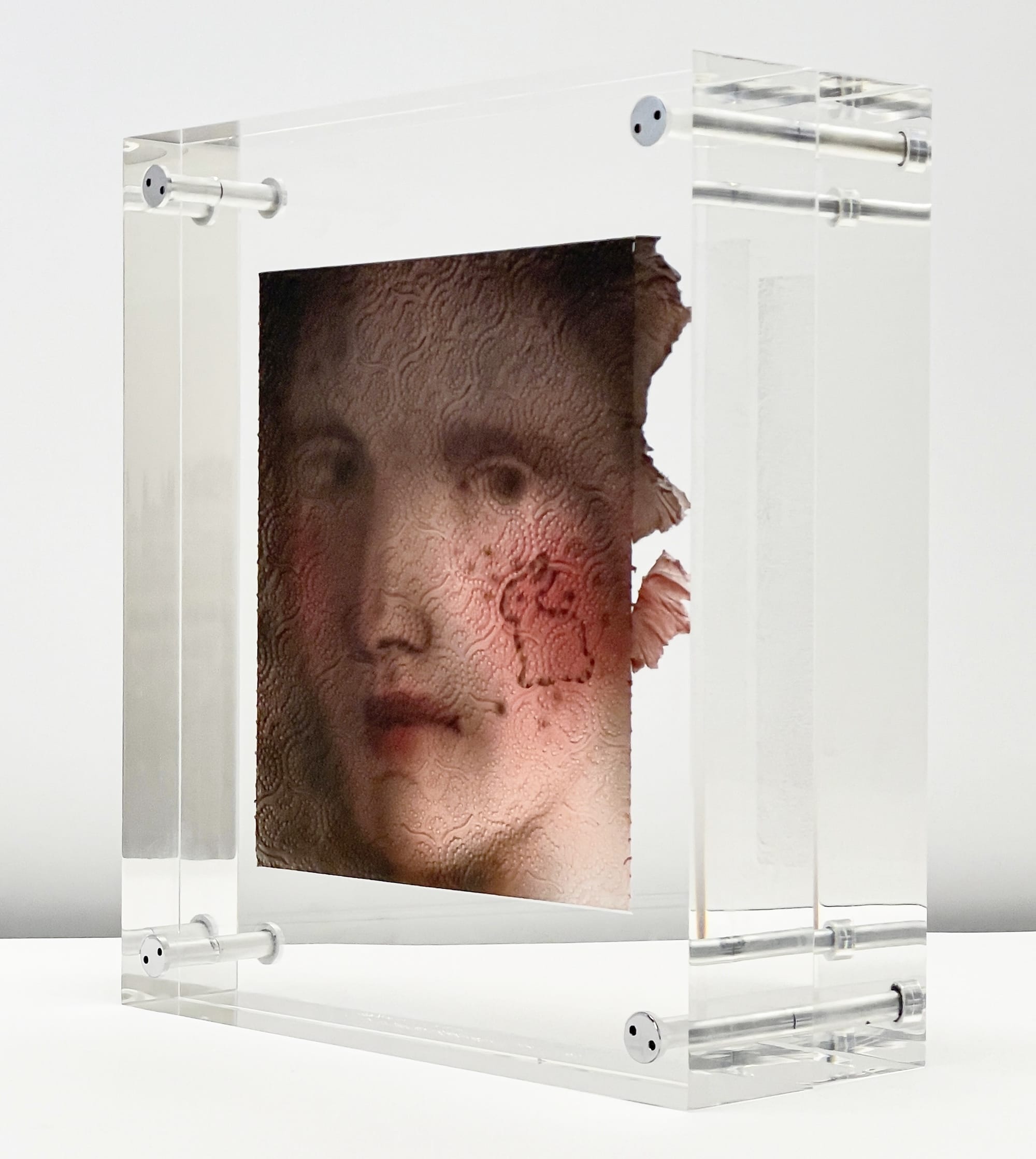 ภาพเหมือนบนกระดาษทิชชู่ประกบด้วยแผ่นอะคริลิกหนา ผลงาน Helena Minginowicz
