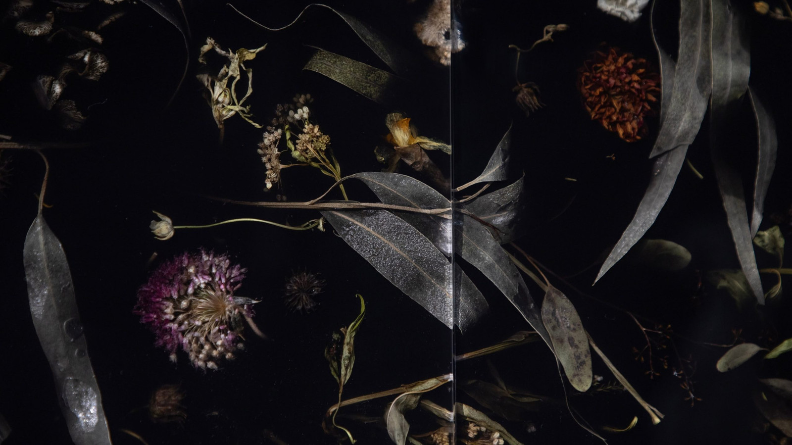 Marcin Rusak Flora Temporaria detail - ดอกไม้แห้งถูกฝังอยู่ในเรซิน