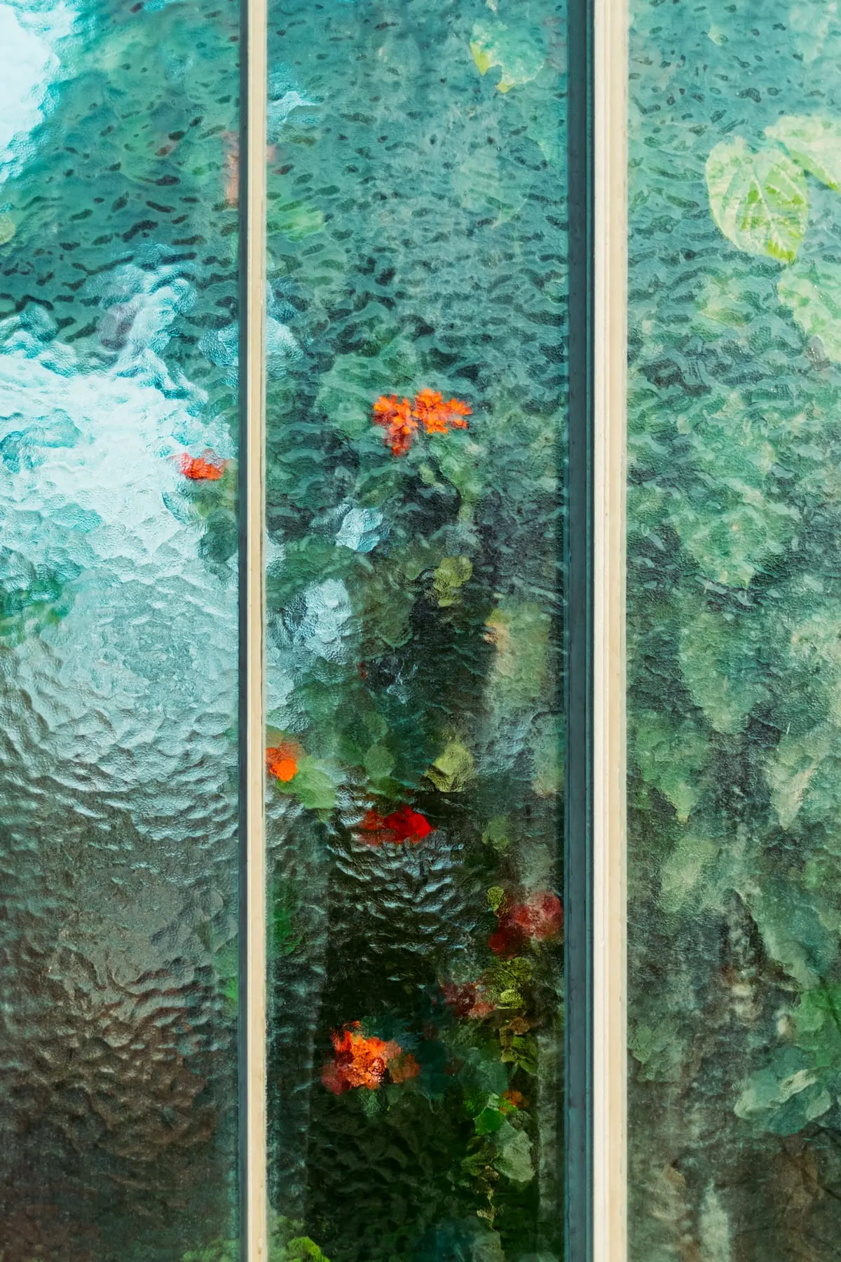 โครงเหล็กเรือนกระจกกับพืชเบลอด้านหลัง จากซีรีส์ Botanical ของ Samuel Zeller