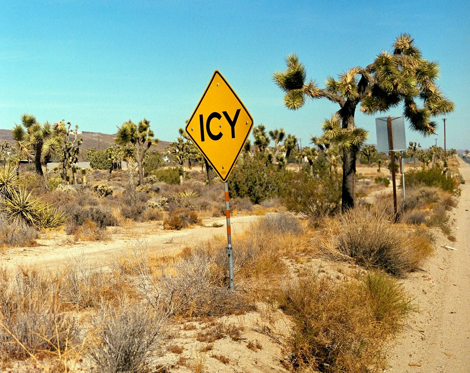 ป้ายเขียนคำว่า ICY กลางทะเลทรายแห้งแล้งที่ Yucca Valley แคลิฟอร์เนีย ภาพโดย Rob Hann