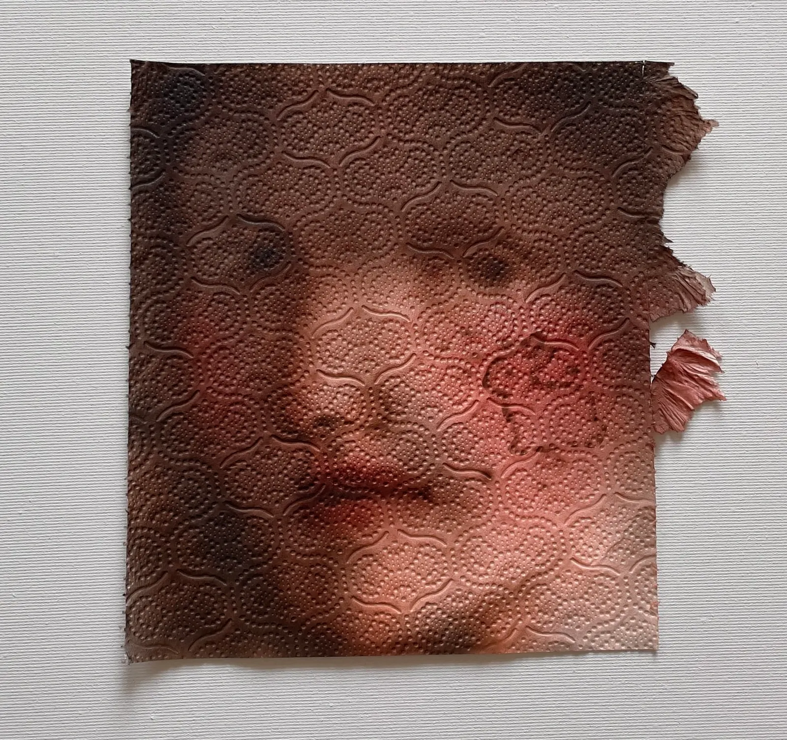 รอยยับของกระดาษทิชชู่เป็นพื้นผิวให้ภาพเหมือน ผลงาน Helena Minginowicz