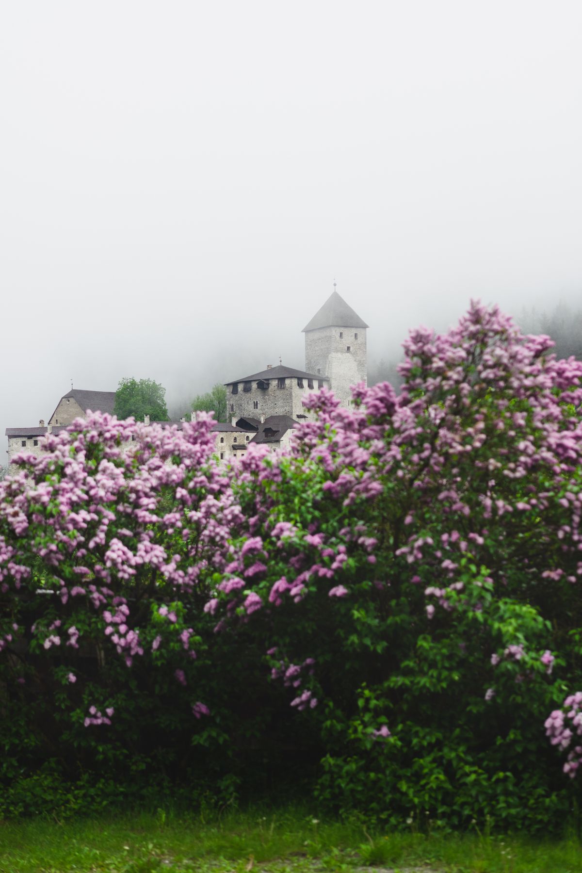 ปราสาทยุคกลางในสายหมอก มีดอกไลแลคบานอยู่เบื้องหน้า ภาพถ่ายโดย eberhard grossgasteiger