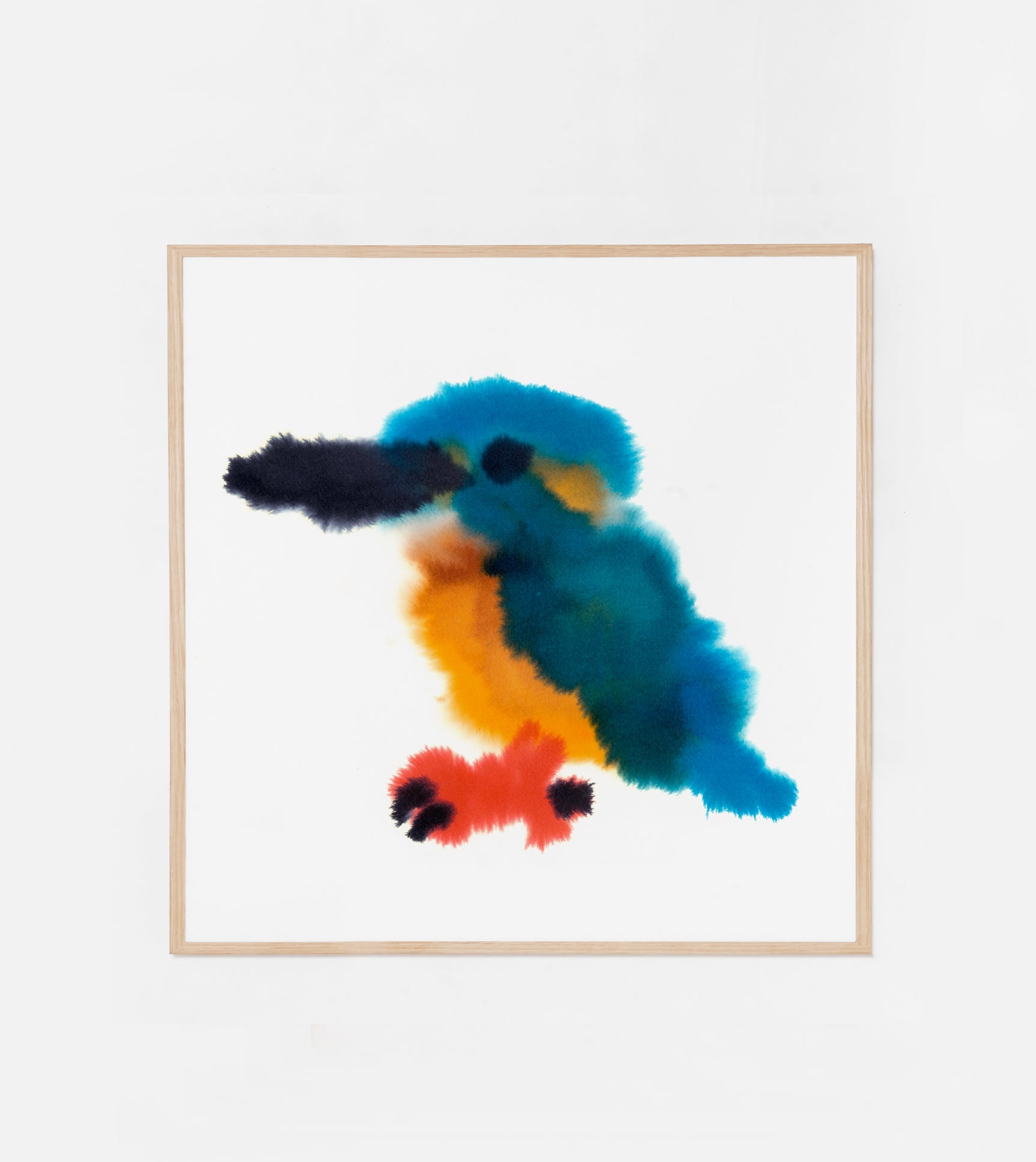 Kingfisher — Rop van Mierlo / Wild Animals