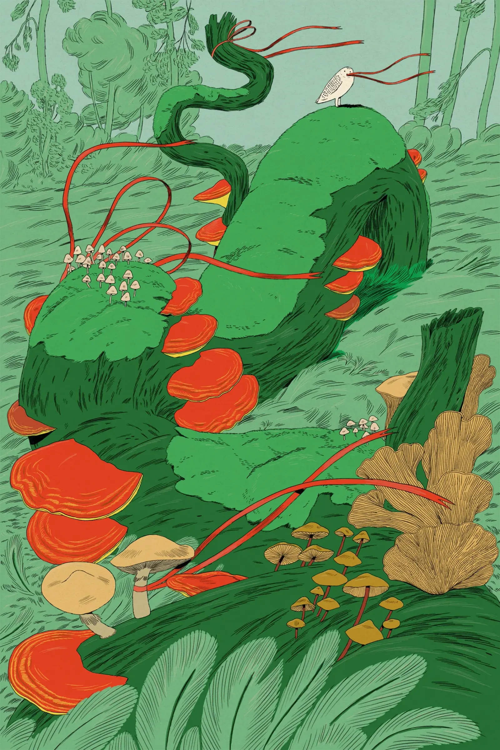 Karlotta Freier — ภาพประกอบพฤกษศาสตร์สำหรับ Origins