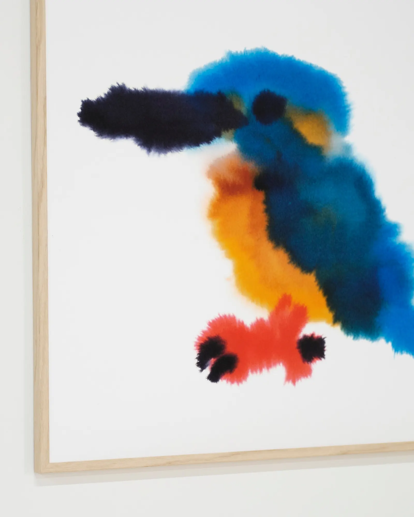 Kingfisher Print Detail — Rop van Mierlo / Wild Animals