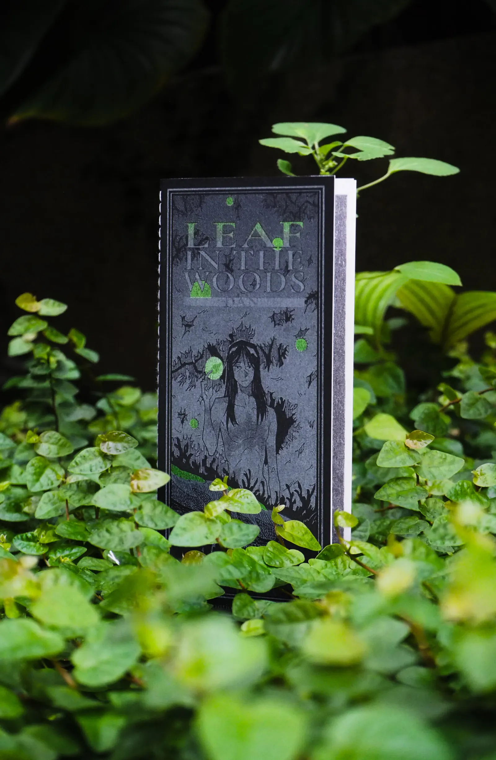 ซีนริโซกราฟ DAN' Leaf in the woods โดย double-T