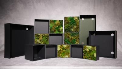 KOKE TILE แผ่นมอสญี่ปุ่นที่ขายช่องว่างมาพร้อมกับความเขียว