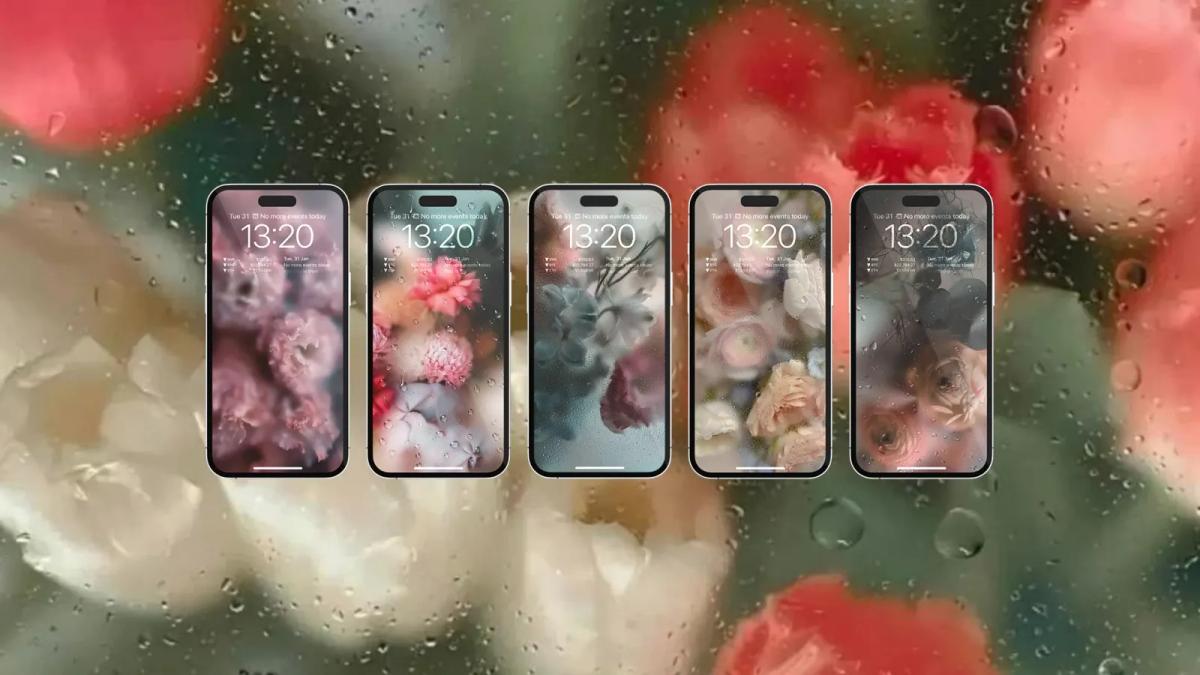 เลือกไม่ถูกเชิญทางนี้ ภาพตัวอย่าง Wallpaper ดอกไม้แช่แข็งสุดไวรัลที่น่ารักจนอดใจไม่ไหว