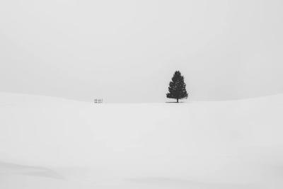 negative space ที่ว่างที่ทำงานหนักที่สุดในงานออกแบบ