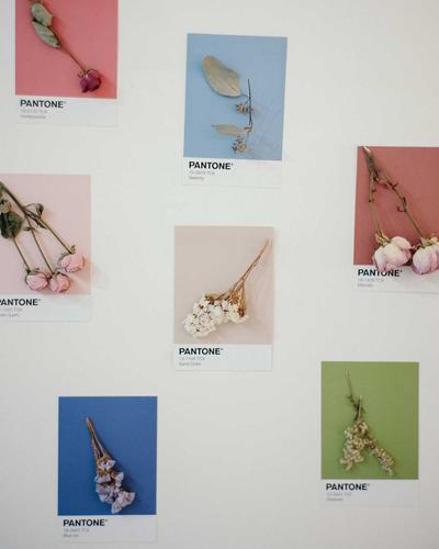 เปิดวาร์ปดูฟรี! หนังสือ COLOR GUIDE อายุ 273 ปี เล่มเดียวในโลก ก่อน PANTONE เกิด