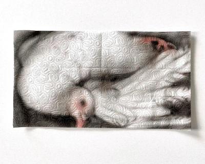 Helena Minginowicz ศิลปินที่วาดภาพเรอเนซองส์ลงบนกระดาษทิชชู
